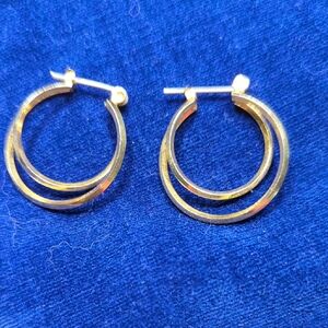Elegant Gold Hoop Earrings